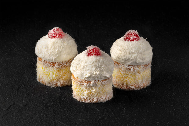 Round Coconut mini