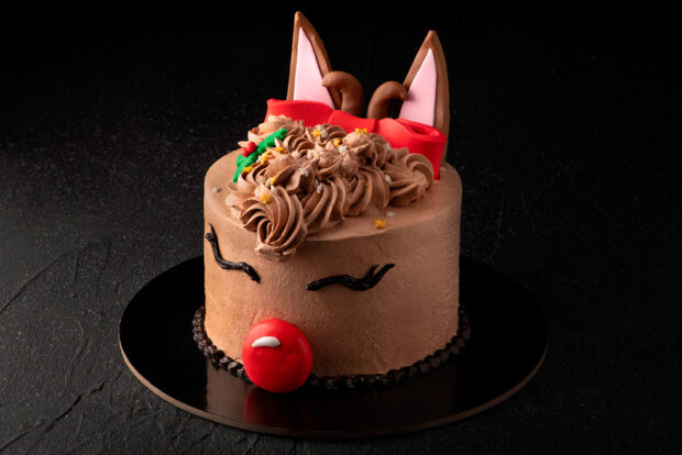 Christmas Rudolph Cake